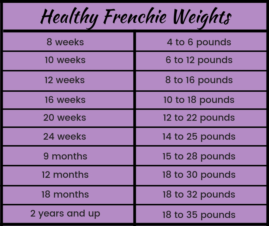 Weight Czar's Frenchies